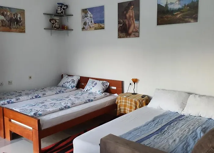 Odmor I Mir 브라네