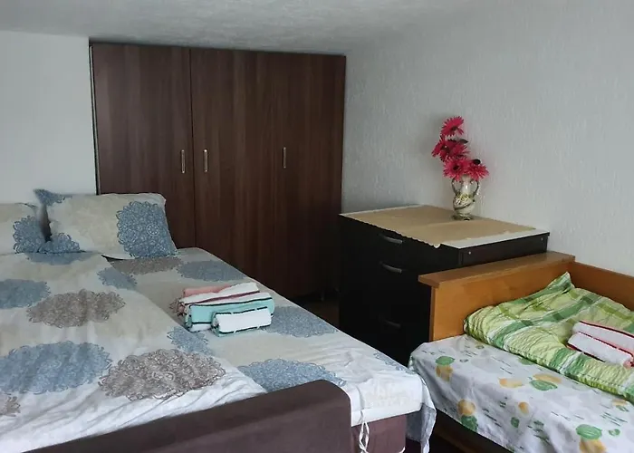 Odmor I Mir 브라네