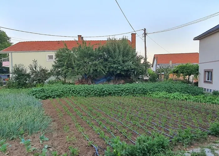 Odmor I Mir 아파트 브라네